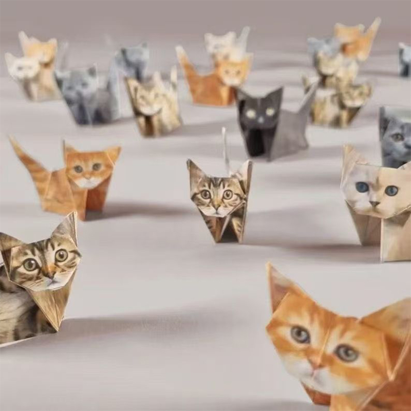 Creative DIY Origami Handmade  - Art Craft Birthday Party recensie en prijs