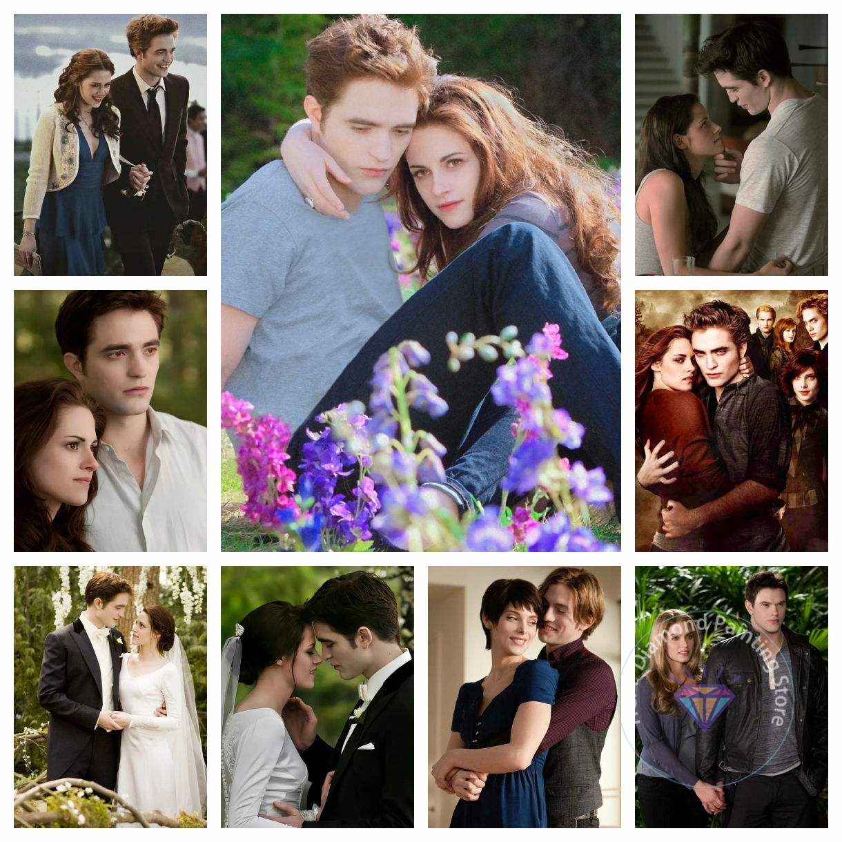 Twilight  Romance Science Fict - Art And Craft Science recensie en prijs