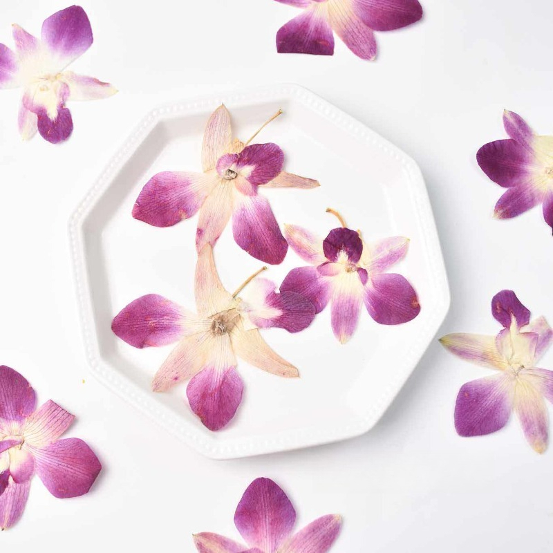 4pcs,Real Pressed Butterfly Or - Art Craft Butterfly recensie en prijs