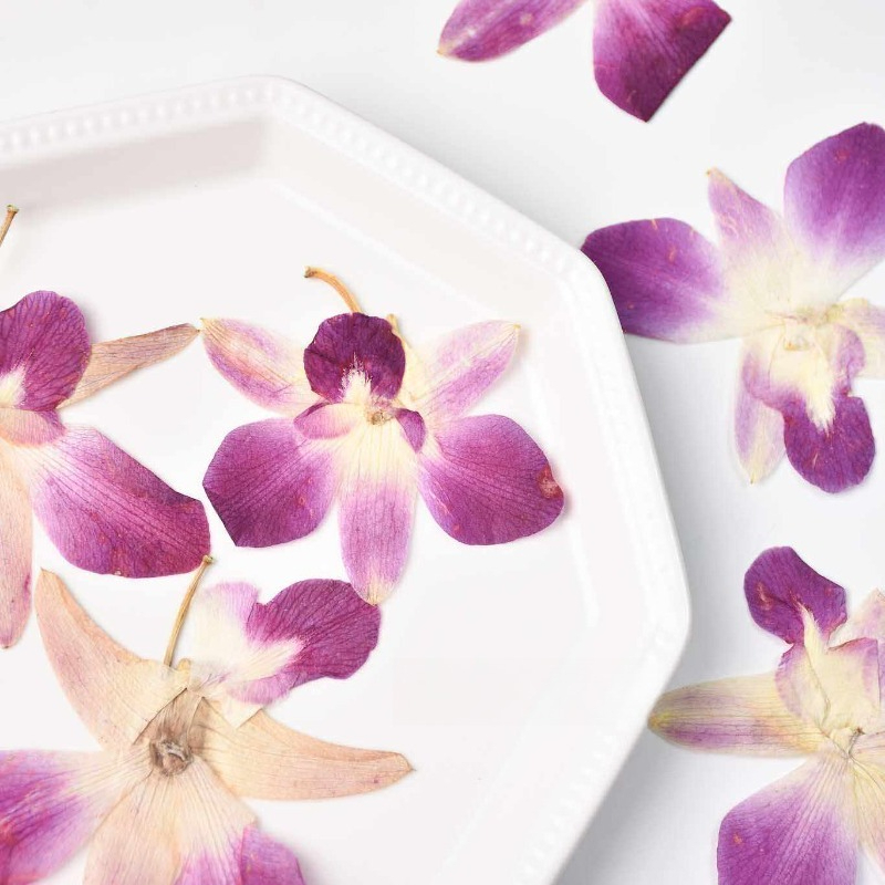 4pcs,Real Pressed Butterfly Or - Art Craft Butterfly recensie en prijs