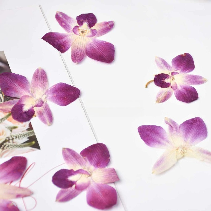 4pcs,Real Pressed Butterfly Or - Art Craft Butterfly recensie en prijs