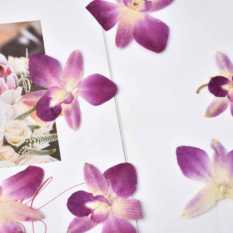 4pcs,Real Pressed Butterfly Or - Art Craft Butterfly recensie en prijs