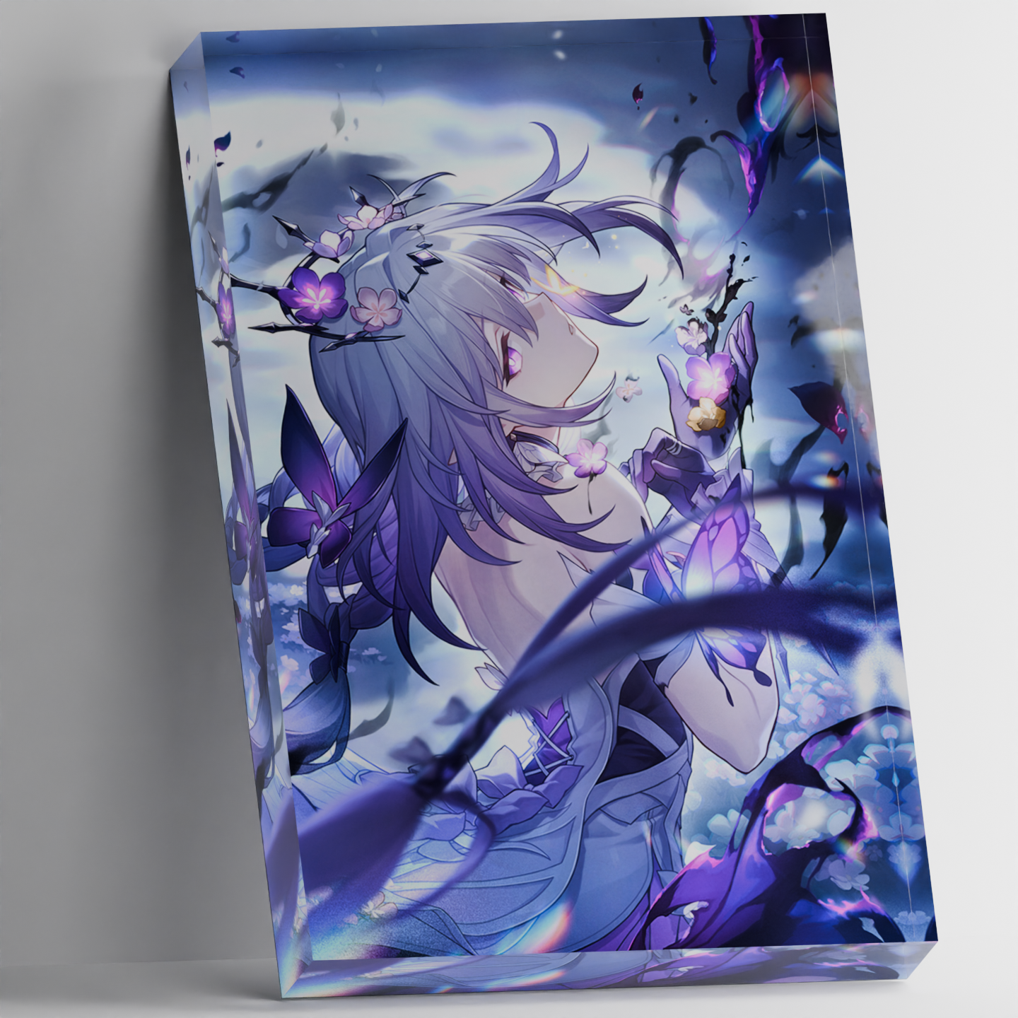 Custom Acrylic Photo Block Hon - Art Craft Butterfly recensie en prijs