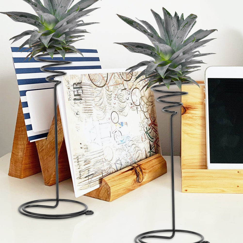 2Pcs Iron Air Plant Tabletop S - Art Craft Room Ideas recensie en prijs