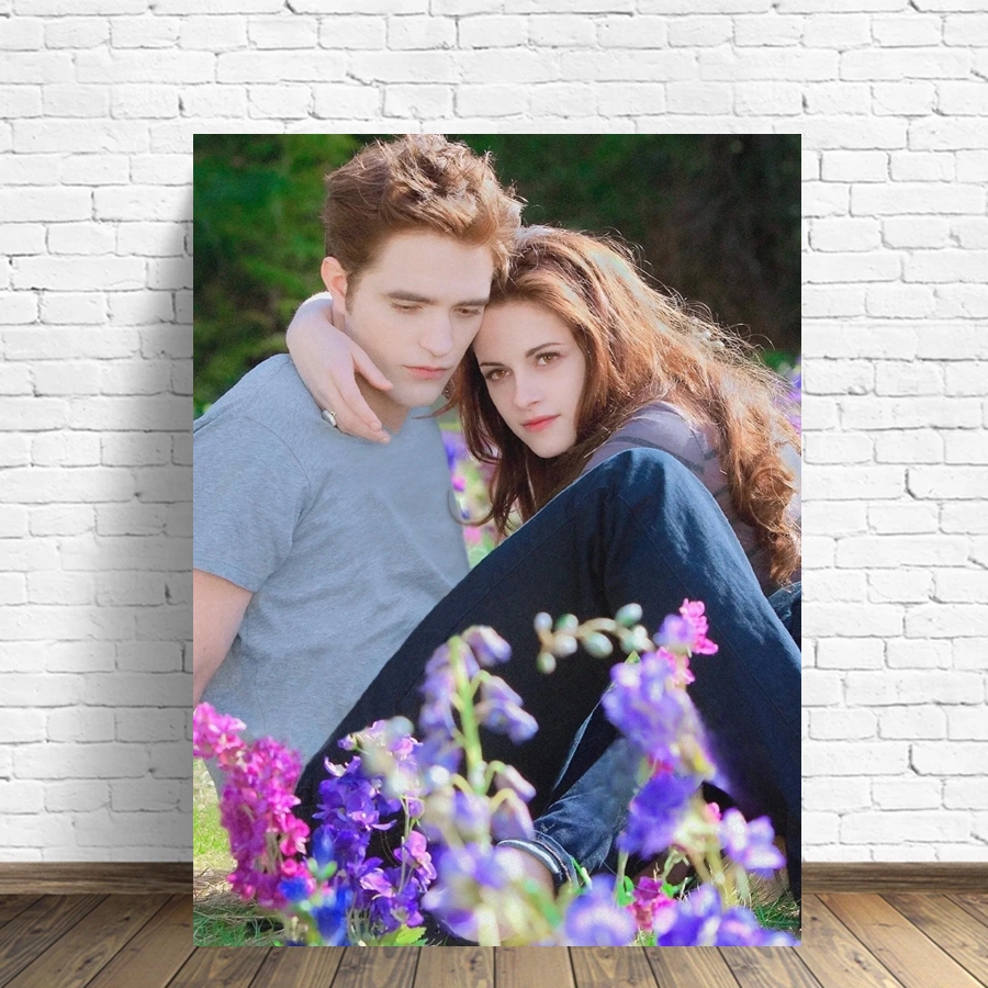 Twilight Romance Science Ficti - Art And Craft Science recensie en prijs