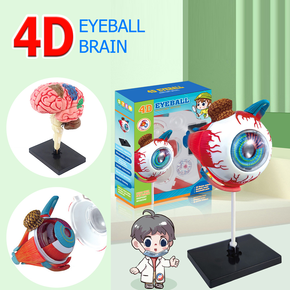 High Quality Arts Crafts Ornam - Art And Craft Science recensie en prijs