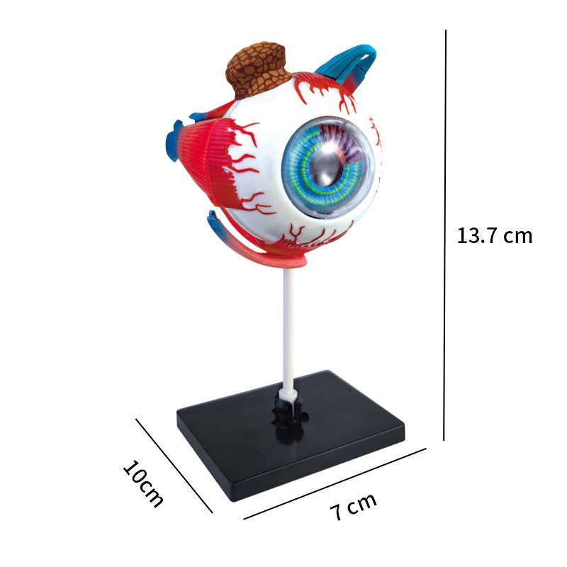 High Quality Arts Crafts Ornam - Art And Craft Science recensie en prijs