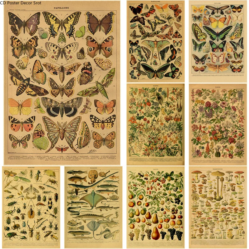 Butterfly Insect Flower Mushro - Art Craft Butterfly recensie en prijs