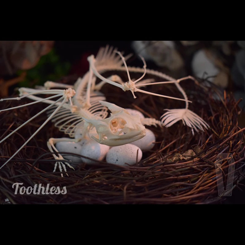 2125 Toothless Dragon Skeleton - Art And Craft Science recensie en prijs